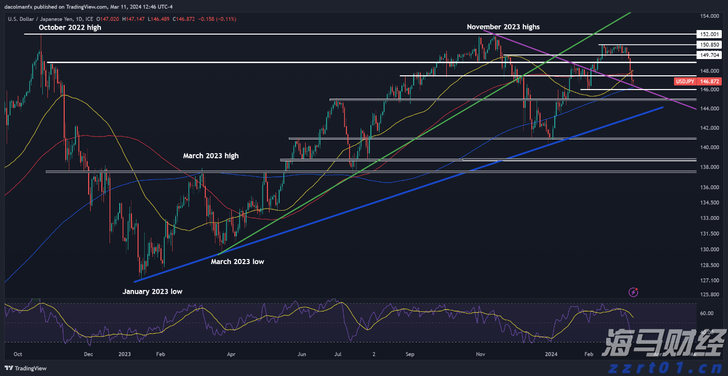 深耕创作沃土 讲好徐闻故事