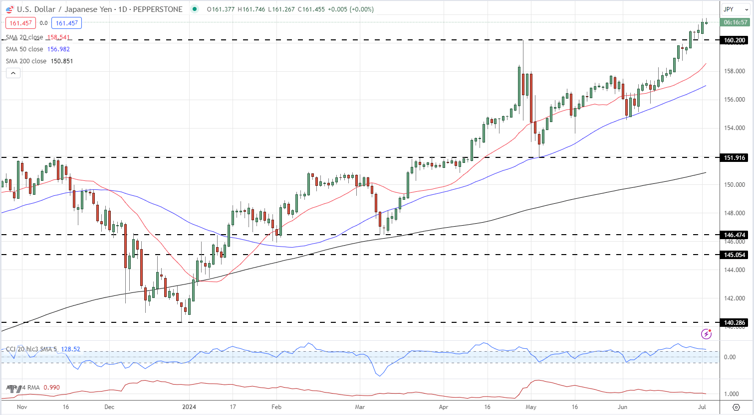 深耕创作沃土 讲好徐闻故事